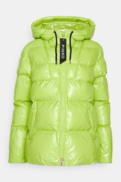 Pinko Eleodoro Shine Puffer Jacket Πράσινο 101597 A11K S63