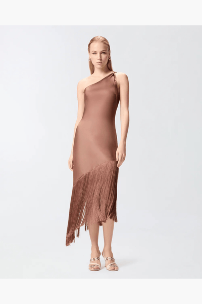 Pinko Kiwi Midi Satin Dress Brown 106352 A33D L50  beautycollection.gr